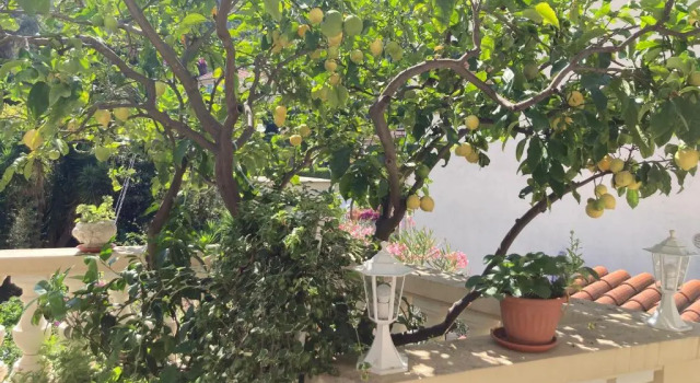 Студия Studio Villa la Cigale avec grande Terrasse