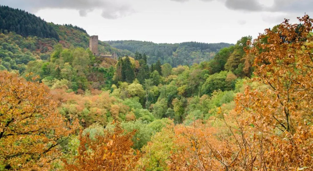 Ferienhaus Vulkaneifel Kopp