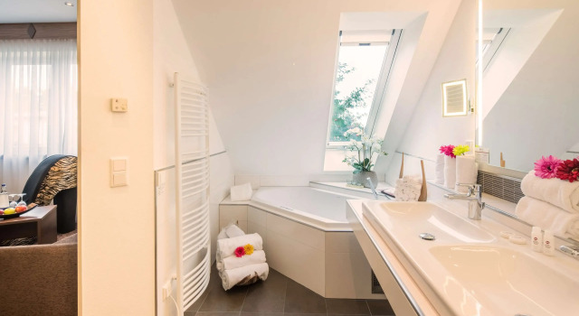 Двухместный люкс Deluxe Best Western Plus Parkhotel Erding