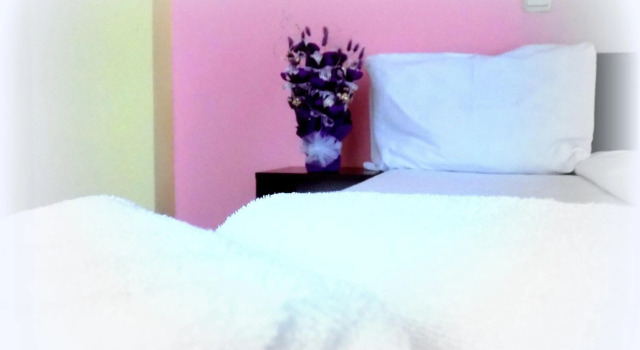 Hotel Alexander, Book Hotel Sofia Vitosha
