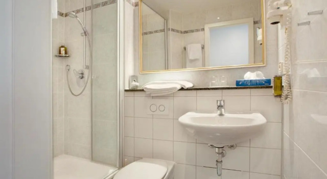 Одноместный номер Standard Hotel Aurbacher Hof GmbH