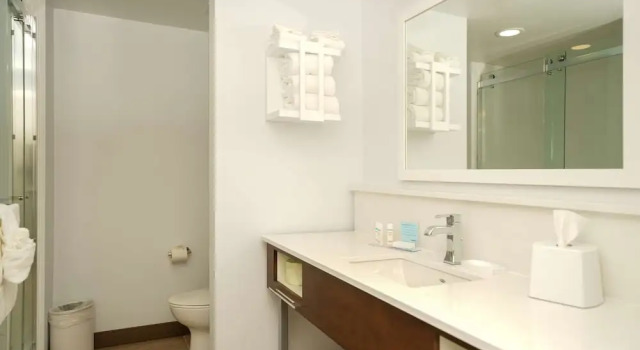 Двухместный номер Hampton Inn & Suites Aurora South, Co