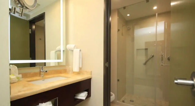 Люкс c 1 комнатой Holiday Inn Leon by IHG