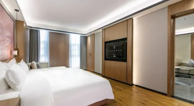 Люкс Executive Wan'ao Hotel (Lushan Caijiapo High-speed Railway Station)