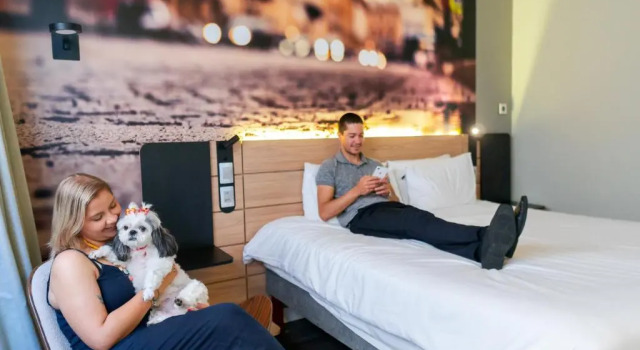 Номер Deluxe Novotel Curitiba Batel