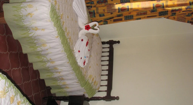 Bungalows El Delfin