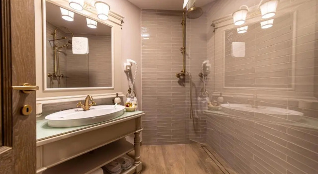 Одноместный номер Standard Casa Timiș - Wellness & Spa Resort