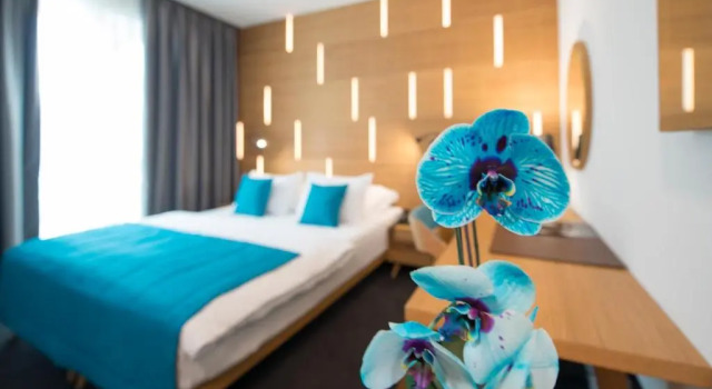 Двухместный номер Deluxe Hotel Sana