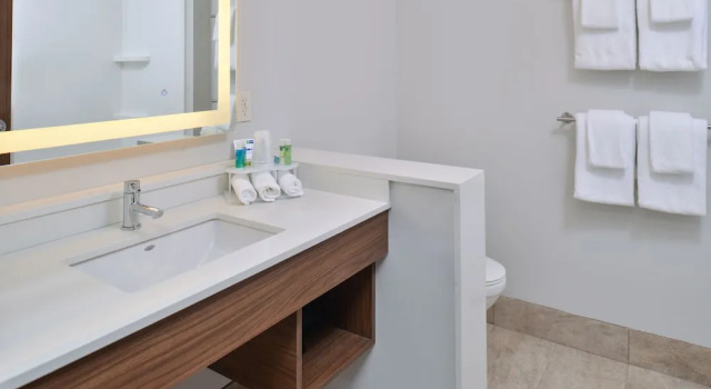 Двухместный люкс Holiday Inn Express & Suites - Southgate - Detroit Area by IHG