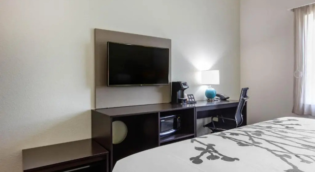 Двухместный номер Sleep Inn & Suites Tampa South