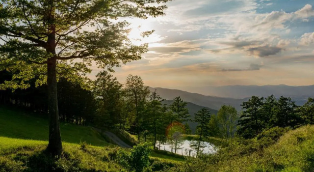 Апартаменты с 2 комнатами Agriturismo Casa Passerini a Firenze