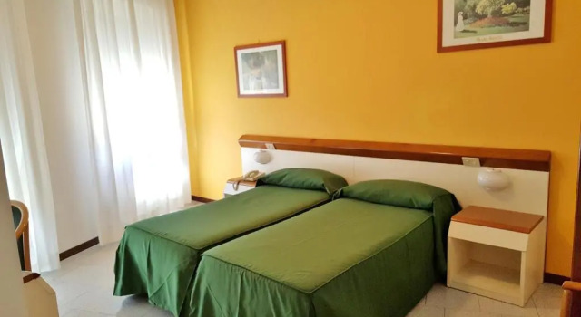 Двухместный номер Standard с видом на озеро Hotel Italie et Suisse