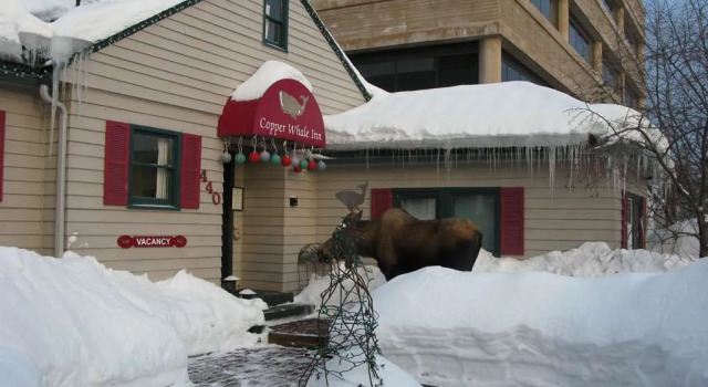 Copper Whale Inn, Book Hotel Hoteller i Anchorage med parkering, Parkering