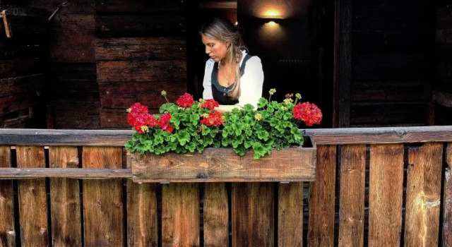 Семейный номер Standard Chalet Svizzero