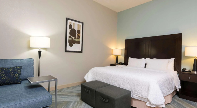 Двухместный номер Standard Hampton Inn Detroit Roseville