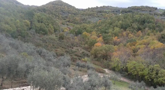 Agriturismo Le Cerqueta, Varaa Hotelli Monteleone Sabino Lazio