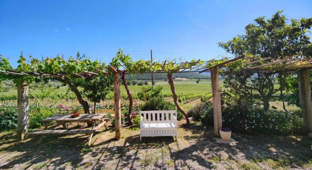 Appartamento Poggiolivi - Parco della Maremma