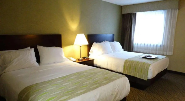 Шестиместный люкс Best Western Gaylord