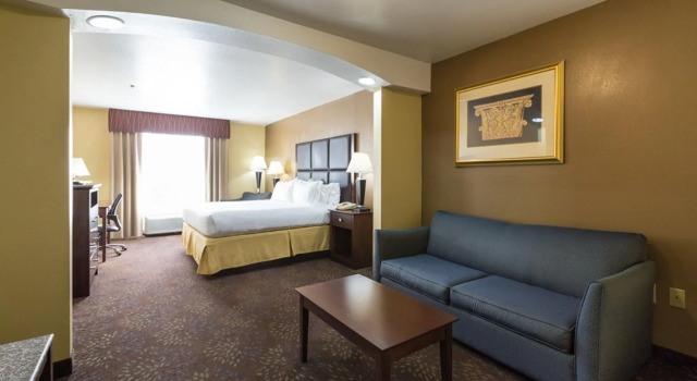 Двухместный номер Standard Holiday Inn Express Hotel & Suites Hinesville by IHG