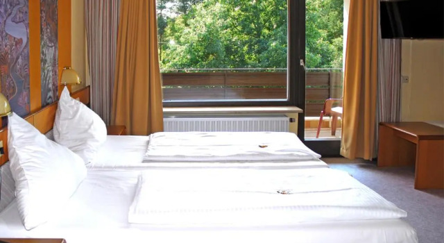 Двухместный номер Comfort Hotel Selau