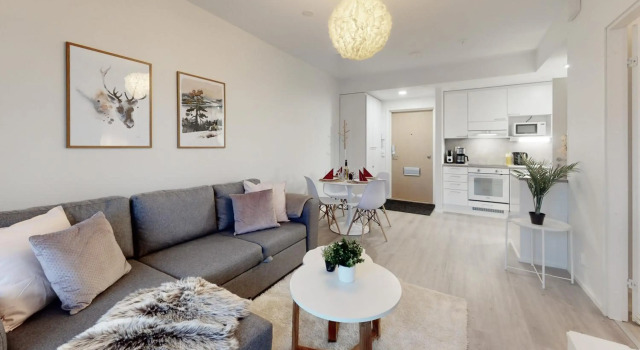 Apartment Scandinavia IV, Забронировать Апартаменты/квартира Рованиеми Лапландия, рядом с Институт Сантаспорт