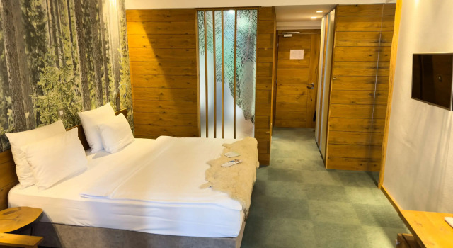 Двухместный номер Standard Pino Nature Hotel, BW Premier Collection