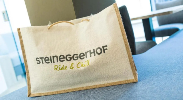 Номер Standard Hotel Steineggerhof