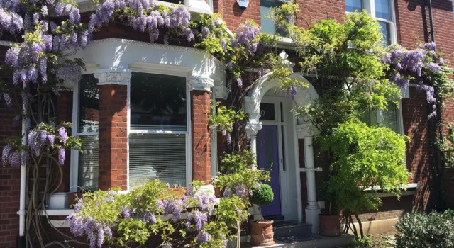 The Lilac Door