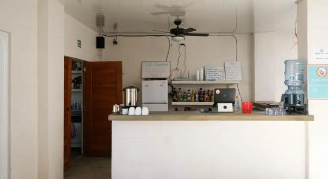 The Thirsty Turtle Hostel