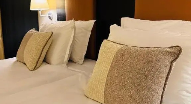 . Hotel RIVO by Branco, Забронировать Отель Отели Тимишоары 4 звезды, рядом с Timisoara Baroque Palace, 4*