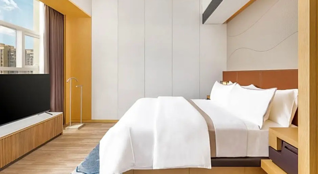 Полулюкс Deluxe The Westin Wuhan Hanyang
