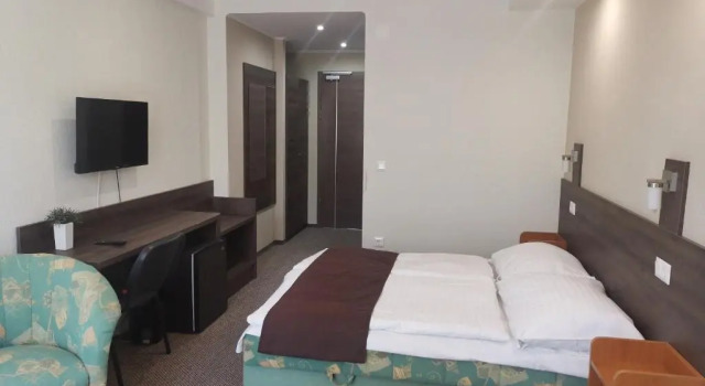 Номер Standard Hotel Tagore