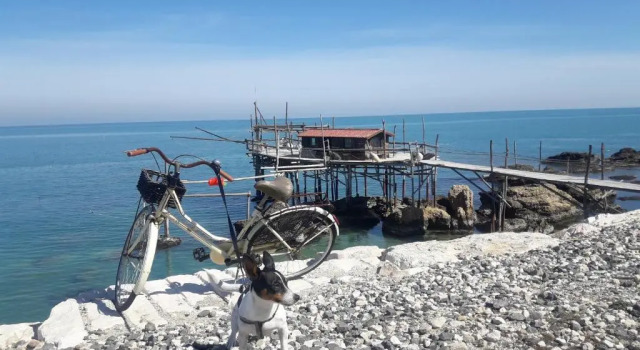 Апартаменты Casa a 20 Metri Dal Mare!