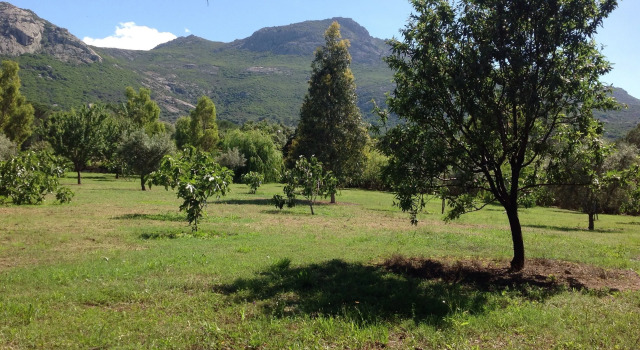 Casa di Floumy, Забронировать Отель Кальви Balagne