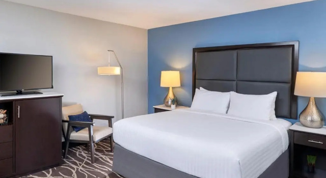 Номер Standard The Pierpont Inn