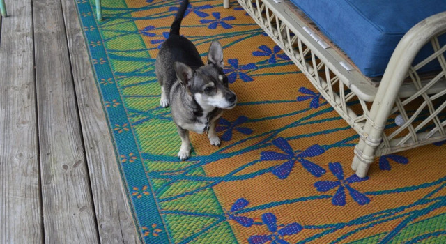 Beach Boho - Pet Friendly! Prime Location Close To The Bird Sanctuary, Bike Path, Billy Goat Hole Boat Launch As Well As The Mobile Bay Ferry! 2 Bedroom Apts by Redawning, Prenota Hotel Hotel a Alabama con parcheggio, Parcheggio