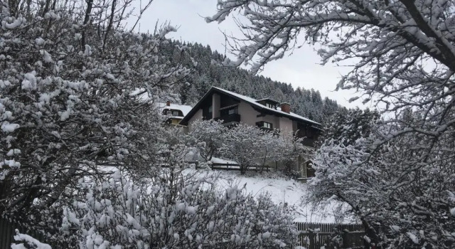 Апартаменты Haus Agnes, Murau