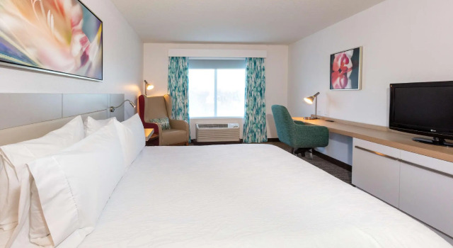 Двухместный номер Standard Hilton Garden Inn Daytona Beach Airport