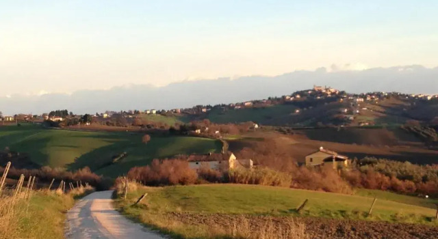 Номер Standard Agriturismo Tenuta Belvedere