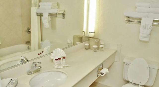 Номер Standard Ramada by Wyndham Las Cruces Hotel & Conference Center