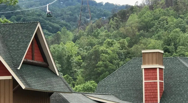 Апартаменты Downtown Gatlinburg Apartment