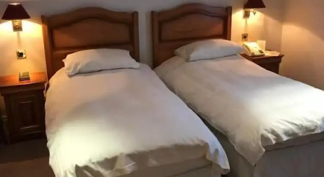 Luksus- dobbelt værelse Regency Hotel