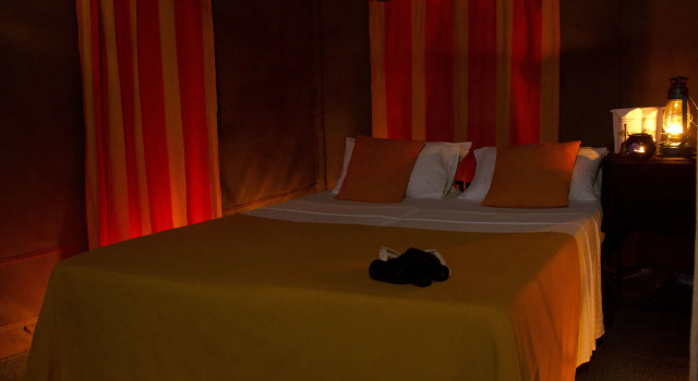 Mahoora Tented Safari Camp - Wilpattu