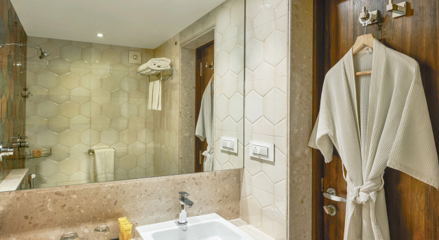 Номер Deluxe Hotel Bawa Regency Dadar