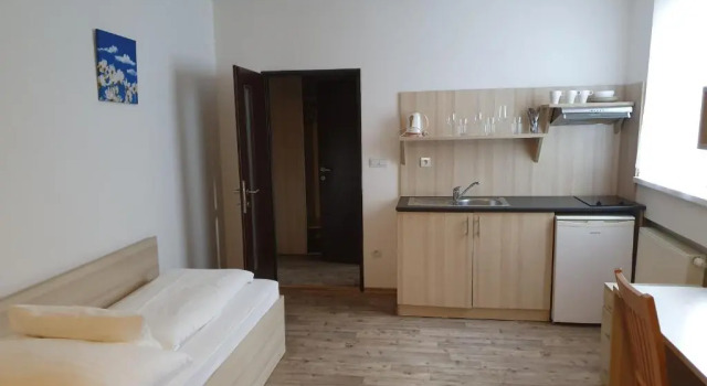 Трёхместный номер Standard Hotel Palác