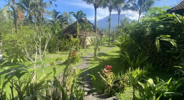 Номер Standard Great Mountain Views Nature Resort