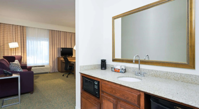 Двухместный люкс Hampton Inn by Hilton Odessa