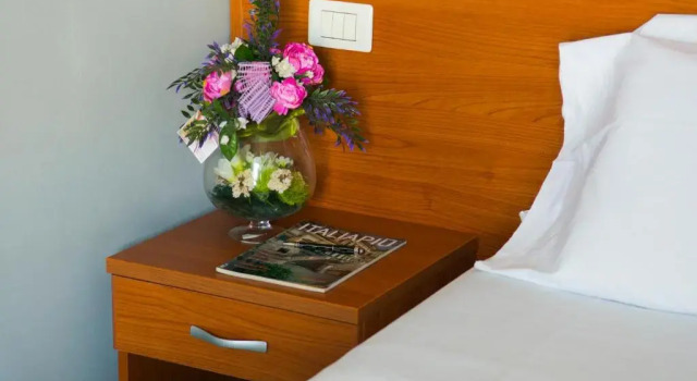 Одноместный номер Standard Hotel Dei Pini