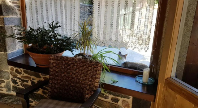 Коттедж с 4 комнатами Casa do Estevo