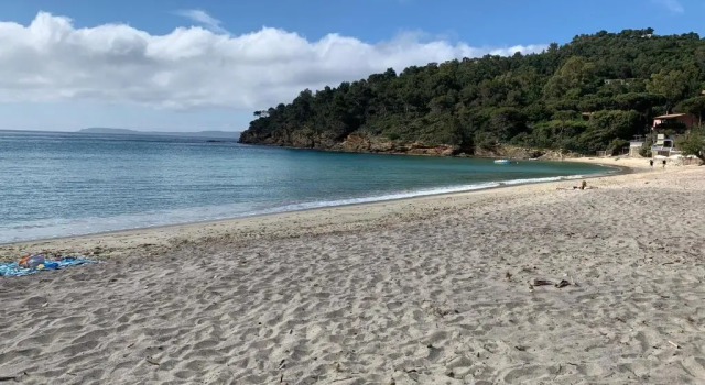 Studio/jardin/piscine/plage Le Lavandou Pramousquier, Забронировать Апартаменты/квартира Отели Ле-Лаванду с бассейном, Бассейн
